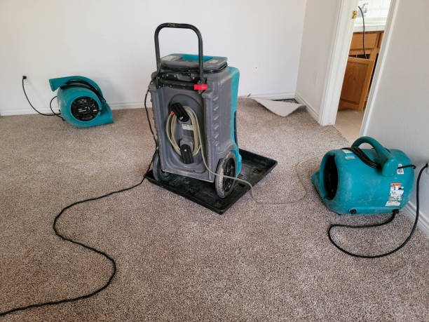 Water damage restoration insurance claims in SD