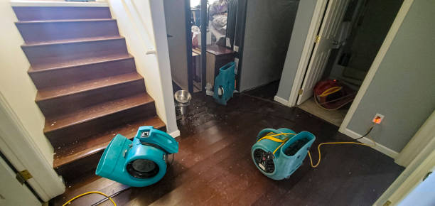 Best Water damage restoration near me  in De Smet, SD