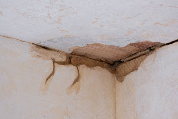 Best Professional water damage repair  in De Smet, SD