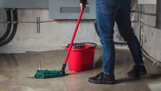 Trusted SD Water damage restoration Experts