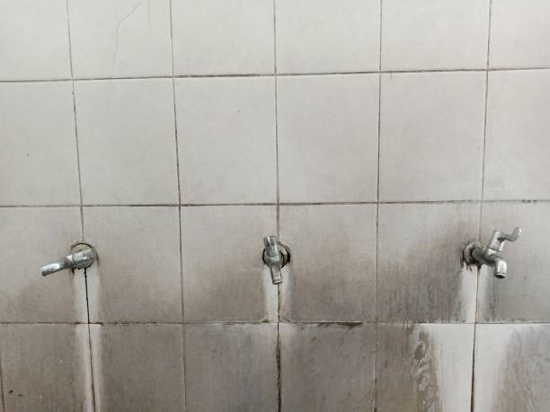 Best Professional water damage repair  in De Smet, SD
