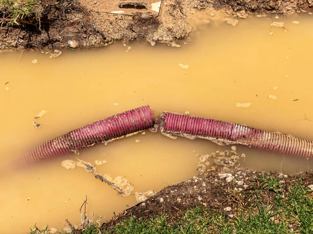 Best Emergency water damage restoration  in De Smet, SD